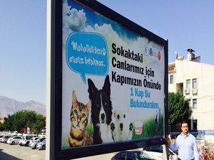 Sokaktaki hayvanlar için bir kap su!