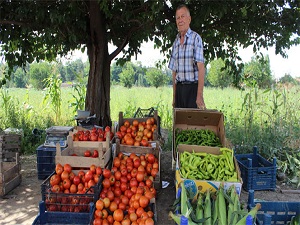 Zararına da olsa hormonsuz sebze üretip satıyor