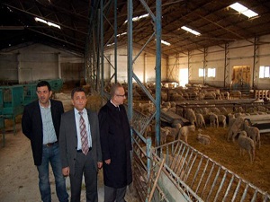 Hayvan üreticilerine TÜBİTAK desteği