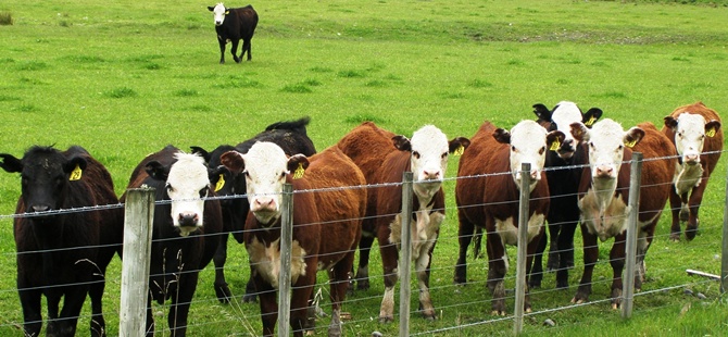 Katar-ABD arasında yeni ticaret anlaşması