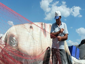 Balıkçılar 1 Eylül’de 'Vira Bismillah' demeye hazırlanıyor