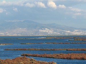 Gediz'in su kalitesinde iyileşme