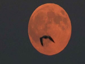 'Süper Ay' İstanbul semalarında