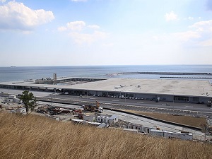 İstanbul'da balık 'e-mezat' ile satılacak