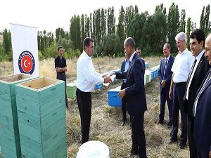 TİKA'dan engellilere destek