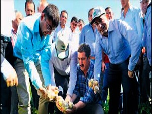 İyi tarım patates üretimini artırdı