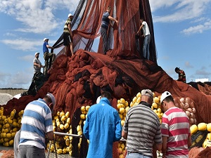 İstanbullu balıkçılar av sezonunu açtı