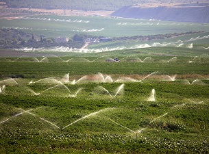 Tarım Kredi Kooperatifi Mühendis alımı yapacak