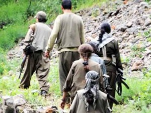 120 aşiretten PKK’ya tarihi çağrı