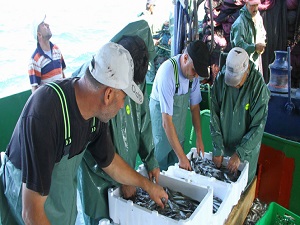 Balıkçılar sezonu açtı