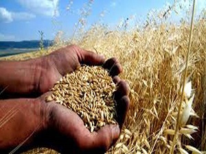 Tacikistan gıda stoku yapacak