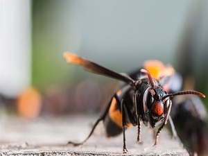 Kanser tedavisinde yeni umut