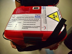 TÜRKKÖK dünya çocuklarına da umut olacak