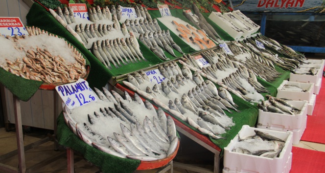 Hamsinin kilosu 10 TL