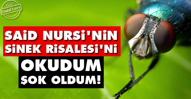 Said Nursi'nin Sinek Risalesi'ni okudum şok oldum!