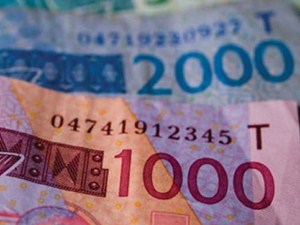 15 Afrika ülkesinden ortak para girişimi!