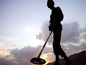 Mayın yiyen bitki keşfedildi