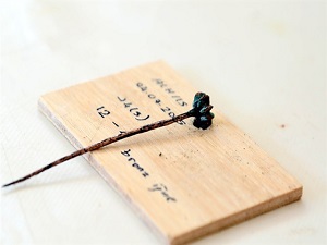 3 bin 700 yıllık 'saç iğnesi'