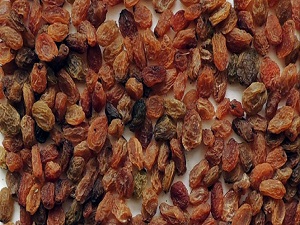 Okullarda kuru üzüm dağıtımı iç tüketimi de artıracak