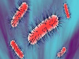 Her yıl 8 milyon kişiyi öldüren hastalık