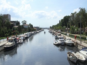 Kurbağalıdere'de artık balıklar yaşıyor