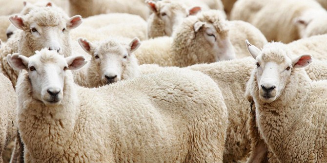 Kurbana eziyet edenlere para cezası