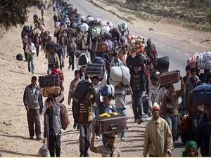 BAE'de 242 bin Suriyeli varmış