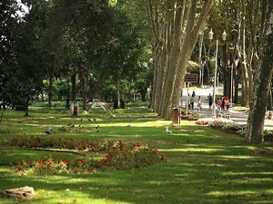 İstanbul'un yeşil alanı 11 yılda yüzde 71 arttı