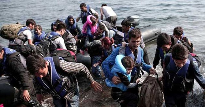 ABD'li Müslümanlar Suriyeli sığınmacı istiyor