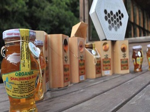 Bu balın kilosu 750 lira!