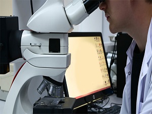 Mikroçip, tüp bebekte başarı oranını 2-3 kat artırdı