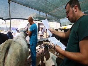 Sağlık raporunu isteyin