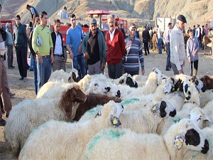 Kurbanlık satıcılarına müjde!
