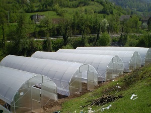 Savaş yorgunu Bosna’nın tarımına Türkiye’den tam destek