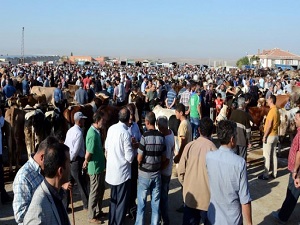 Hayvan pazarında son gün beklentisi