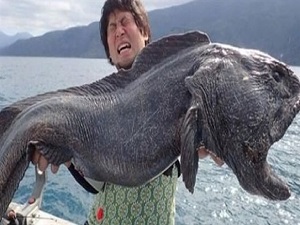 Dev balık şoke etti