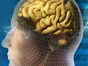 Beyni korumak ve canlı tutmak için 6 yöntem