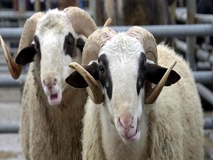 Bakanlık uyardı, 1002 lira cezası var!