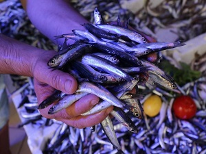 Balık satışlarına 'kurban' molası