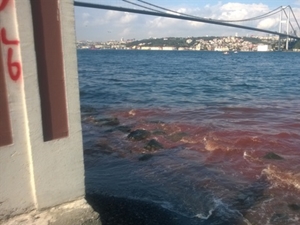 İstanbul Boğazı yine kırmızıya büründü