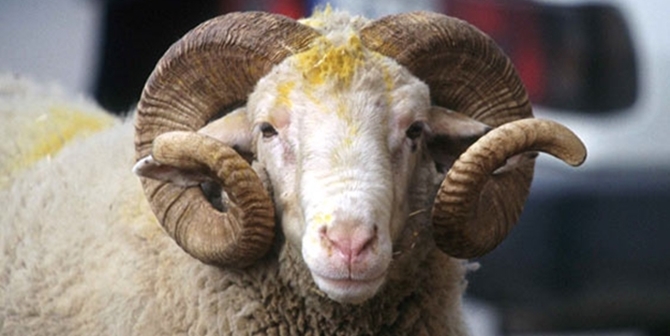 Kurban ibadetinin faydaları nelerdir?