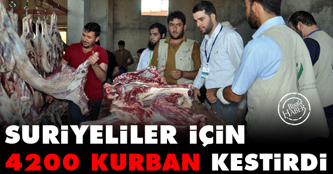 Suriyeliler için 4 bin 200 kurban kestirdi