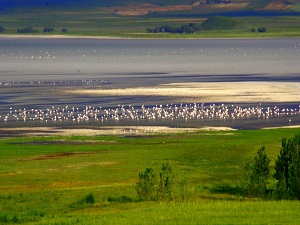 Seyfe Gölü tamamen kurudu