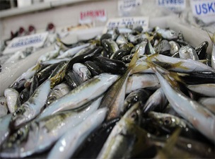 Balık fiyatlarında beklenen düşüş yaşanmıyor
