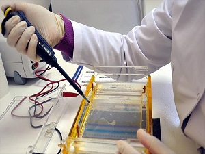 'Tüy kadar hafif çelikten güçlü' süper madde geliştirildi