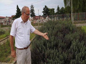 Türkiye endemik ve tıbbi aromatik bitki varlığı bakımından çok zengin bir ülke