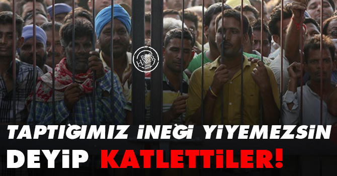 Taptığımız ineği yiyemezsin deyip katlettiler