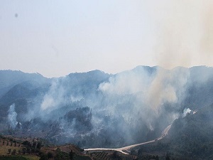 Bombalar orman yangınlarına neden oluyor