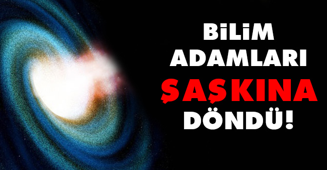 Bilim adamları şaşkına döndü