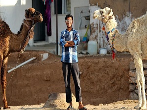 Savaştan kaçarken getirdiği develer 'ekmek kapısı' oldu